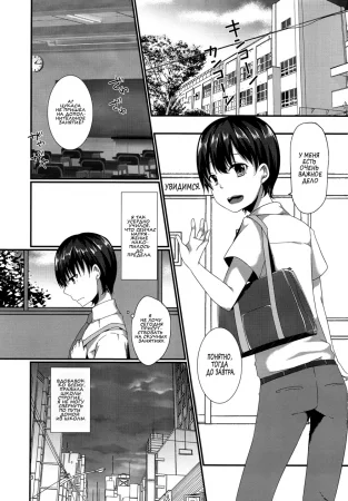Josou Shiteru Ore ga Chikan nanka Sareru Wakenai. (Не может быть, чтобы такого милого трапа, как я, не изнасиловали в поезде.)