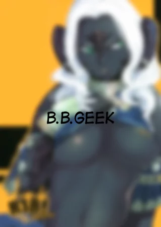B.B.GEEK